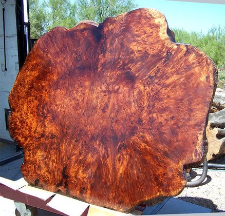 a Burl to drool over... Burl Table, Tree Burl, Redwood Burl, Wood Slab Table, Got Wood, Log Furniture, Wood Pens, Live Edge Wood, Teds Woodworking