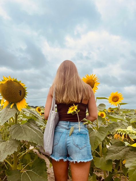 Sunflower Pictures Ideas, Sunflower Patch, Fall Pics, Cute Sunflower, Sunflower Pictures, Sunflower Field, Best Photo Poses, Sunflower Fields, Flower Patch