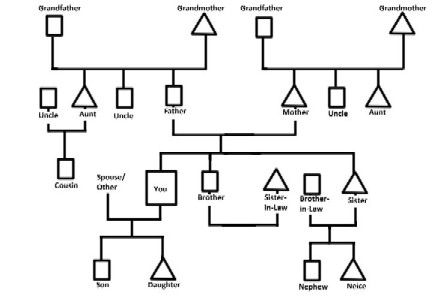 How to draw your family genogram Genogram Symbols, Genogram Example, Family Genogram, Genogram Template, Invoice Example, Family Tree Painting, Family Tree Designs, Survey Template, History Essay