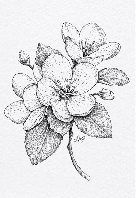 Stippling Art, Flower Line Drawings, Flower Drawing Tutorials, Flower Art Drawing, Flower Sketches, Floral Drawing, White Drawing, Plant Drawing, Black And White Drawing