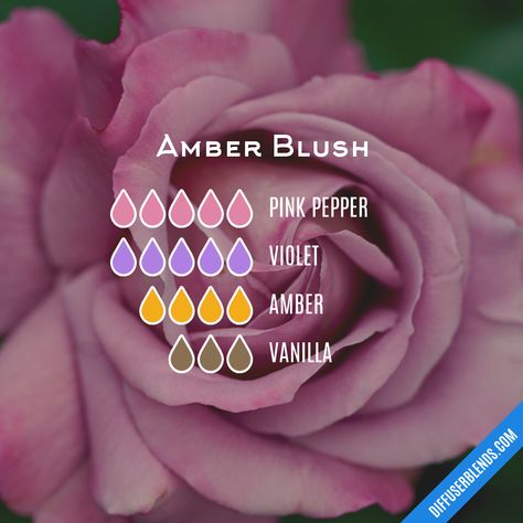 Amber Essential Oil Blends, Floral Oil Blends, Amber Essential Oil Diffuser Blends, Floral Essential Oil Blends Perfume Recipes, Love Spell Diffuser Blend, Rose Essential Oil Blends, Peony Diffuser Blend, Perfume Oil Recipes, Amber Essential Oil