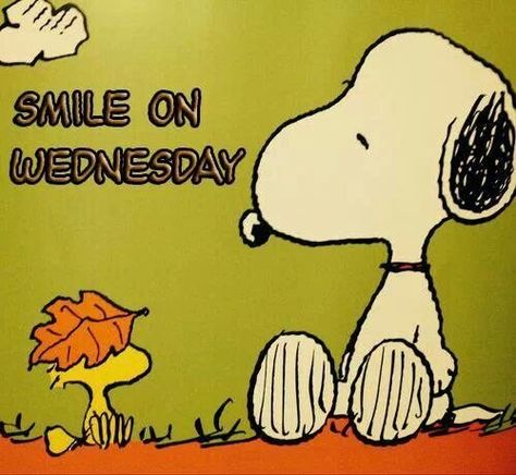 Snoopy October, Wednesday Greetings, Peanuts Comic Strip, Peanuts Cartoon, Peanuts Characters, Snoopy Quotes, Snoopy Pictures, Snoop Dog, Joe Cool