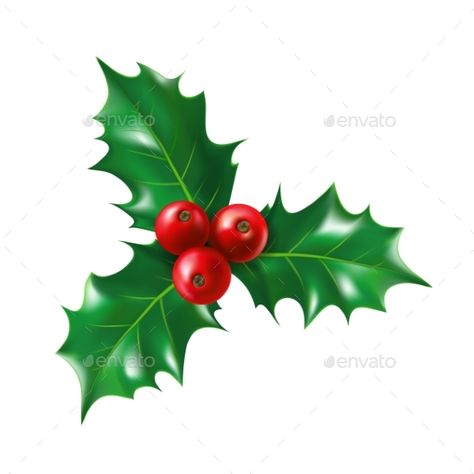 Holly Plant Drawing, Ilex Berries, Christmas Fayre Ideas, Christmas Tattoos, Fantasy Dagger, Holly Leaves And Berries, Christmas Leaves, Robin Redbreast, Christmas Tattoo