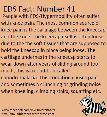 Ehlers Danlos Syndrome Types, Ehlers Danlos Syndrome Symptoms, Elhers Danlos Syndrome, Ehlers Danlos Syndrome Hypermobility, Ehlers Danlos Syndrome Awareness, Keto Chicken Salad, Chronic Fatigue Symptoms, Fatigue Syndrome, Ehlers Danlos