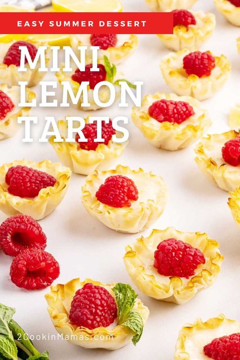 Phyllo Shells, Mini Lemon Tarts, Lemon Tartlets, Lemon Tarts, Lemon Tart Recipe, Lemon Brownies, Mini Tart Pans, Lemon Custard, Tart Filling