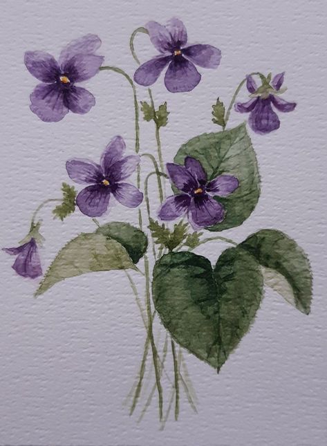 Violets Drawing Flower, Violet Watercolor Painting, Watercolor Violets Tattoo, Painting Violets Flowers, Violets Watercolor Painting, Violet Illustration Flower, Violets Flowers Drawing, How To Paint Violets, Violet Watercolor Flower