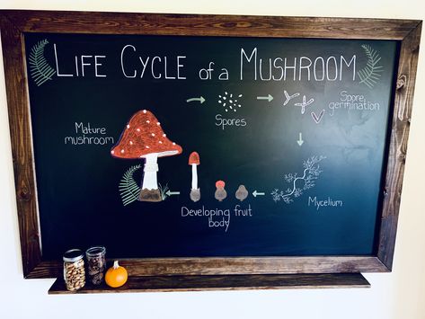 Chalkboard Mushroom, Chalkboard Art Homeschool, Chalkboard Wall Homeschool, Waldorf Astronomy Chalkboard, Waldorf Chalkboard Drawings, Waldorf First Grade Chalkboard, Chalkboard Lettering, Chalk Pens, Life Learning