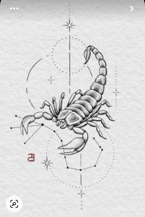 Scorpio Constellation Tattoos, Scorpio Zodiac Tattoos, Scorpio Art, Horoscope Tattoos, Cool Tattoo Drawings, Scorpio Tattoo, Tattoo Outline Drawing, Forarm Tattoos, Tattoo Zeichnungen