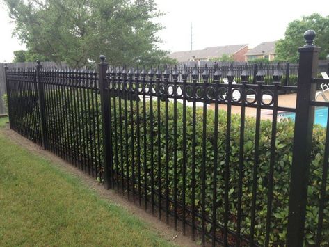 Fence with hedge Griselinia Hedge, Red Robin Hedge, Rod Iron Fences, Hedge Fence, Ornamental Fence, Lake Holiday, Iron Fencing, Garden Railings, Tall Shrubs