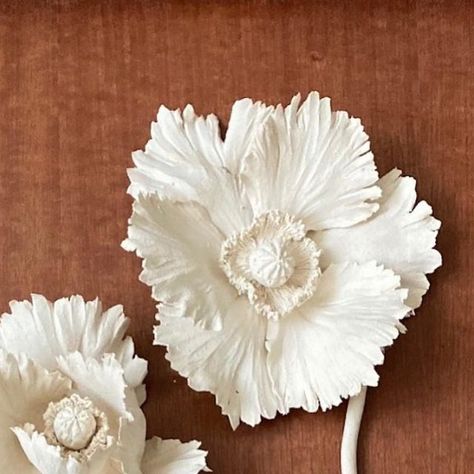 Tristan Hoare on Instagram: "Tristan Hoare is delighted to announce representation of Kaori Tatebayashi. The gallery’s first project with @kceramics will be a solo show scheduled for November 2020. ⁣ ⁣ Image: Kaori Tatebayashi, Papaver somniferum (Poppy), 2019, Stoneware, 70 x 40 cm⁣ ⁣ #KaoriTatebayashi #TristanHoare #TristanHoareGallery" Kaori Tatebayashi, Source Of Inspiration, The Gallery, Poppies, Stoneware, Instagram, Art