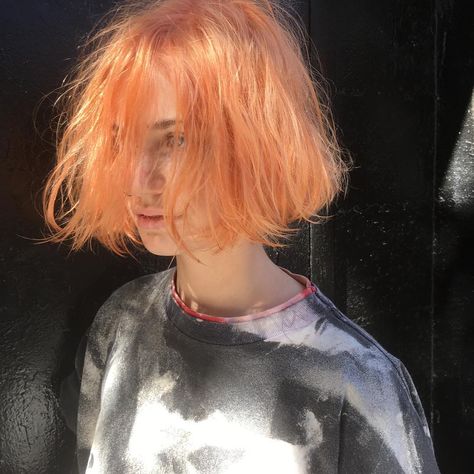 See this Instagram photo by @yukihaga • 345 likes Pale Orange Hair, Pastel Orange Hair, Blorange Hair, Cheveux Oranges, Dyed Hair Pastel, Hair Color Orange, Peach Hair, Orange Light, Penteado Cabelo Curto