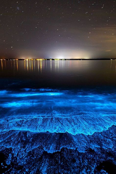 Glowing Beaches, Glowing Algae, Bioluminescence Water, Bioluminescent Plankton, Mexico Bucket List, Night Ocean, Magic Crystals, Jervis Bay, Craters Of The Moon