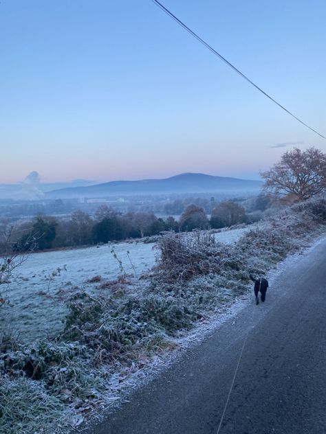 Winter Dog Walk Aesthetic, Dog Walker Aesthetic, Grey November, Snowy Aesthetic, Winter Christmas Aesthetic, Snow Vibes, Insta Dump, Vision 2025, Walking Dog