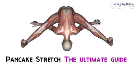 What is a Pancake Stretch? A Pancake Stretch is when a person is sitting on the floor with straight legs spread partially apart. The legs are not together as in a full forward bend or double hamstring stretch. The legs are not all the way apart like in a full straddle or full side split. The legs are partially apart, or in Kinesiological terms, the hips are horizontally abducted, but not all the way... Pancake Stretch, Ballet Flexibility, Straddle Stretch, Standing Split, Forward Bend, Hamstring Stretch, Side Split, Tortoise, Bend