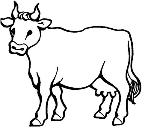 Cow Drawing Easy, Cow Coloring Pages, Moon Coloring Pages, Cow Drawing, Cow Colour, Cartoon Cow, Cows Funny, Cartoon Coloring Pages