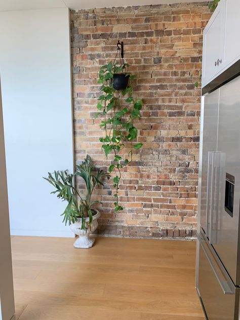 Brick Wall Plants Interior, Brick Indoor Wall, Indoor Brick Wall Ideas, Red Brick Living Room, Brick Dining Room, Exposed Brick Kitchen, Brick Wall Kitchen, Brick Wall Ideas, Brick Wall Decor