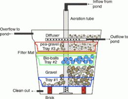 Biofilter Pond Filter Diy, Pond Filter System, Small Fish Pond, Bio Pool, Kolam Koi, Taman Air, Goldfish Pond, Aquaponics Fish, Aquaponics Diy