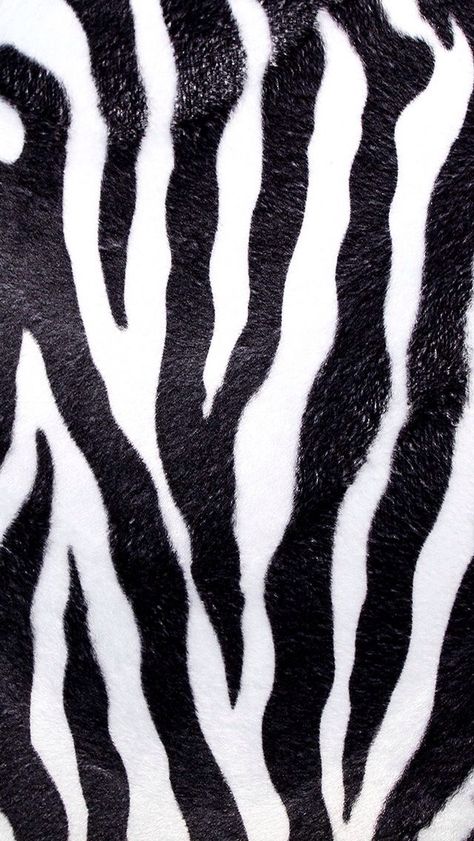 Zebra Urban Outfitters Rug, Zebra Skin Rug, Zebra Print Wallpaper, Zebra Skin Pattern, Wallpaper For Walls, Animal Print Wallpaper, Faux Fur Rug, Print Design Pattern, Fashion Design Portfolio