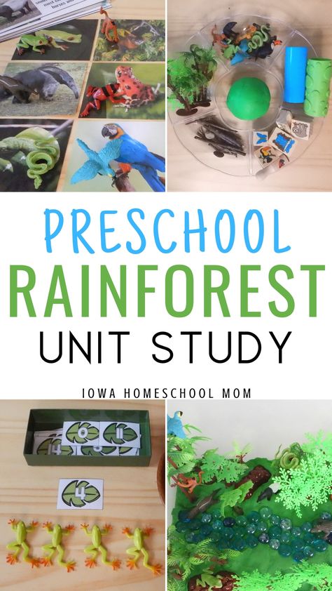 Rainforest activities for preschool. A jungle theme, rainforest unit study for preschoolers that covers science experiments, math, art projects, literacy, and free printables for learning and lesson plans. #rainforest #preschoolactivities #unitstudy Rainforest Science Preschool, Rainforest Science Experiments For Kids, Rainforest Lesson Plans Preschool, Rainforest Stem Activities, Rainforest Activities Preschool, Preschool Jungle Theme, Jungle Preschool, Preschool Rainforest, Preschool Geography