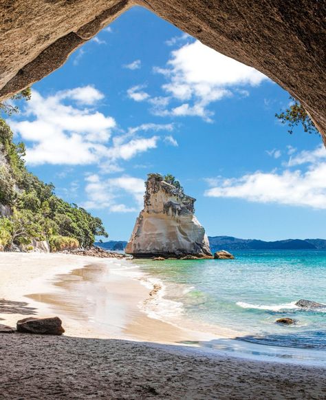 Stunning Cathedral Cove in New Zealand, a natural wonder of pristine beaches and turquoise waters. ⛰️ How would you enjoy exploring the beauty of Cathedral Cove? #naturephotography #beachlife #travel #scenicviews Cathedral Cove, Turquoise Water, Scenic Views, Natural Wonders, Beach Life, The Beauty, Mood Board, New Zealand, Vision Board