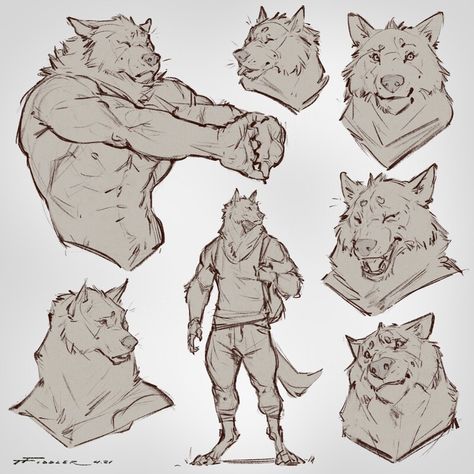 ArtStation - Character Sketches, Taran Fiddler Taran Fiddler, Some Sketches, Werewolf Art, Animal Character, Character Sketches, Creature Concept Art, Creature Concept, An Animal, Creature Design