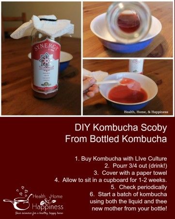 Kombucha Mother, Diy Kombucha, Kombucha Drink, Kombucha Recipes, Make Kombucha, Kombucha Scoby, Homemade Kombucha, Kombucha Recipe, Kefir Recipes