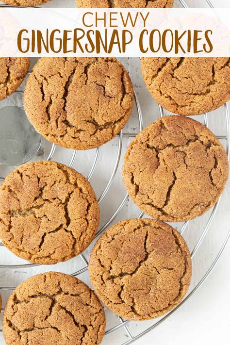 Loaded with the sweetness of molasses and spiciness of ginger, cinnamon and cloves, these cookies are a delicious holiday treat! Gingersnap Cookies Recipe, Chewy Gingersnap Cookies, Gingersnap Cookies Chewy, Ginger Snap Cookies Recipe, Gingersnap Cookies, Recipes Cake, Ginger Snap Cookies, Delicious Cookie Recipes, 2022 Christmas