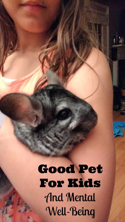 About choosing good pets for kids and the benefits they can offer for your child's mental well-being. Good Pets For Kids, Pet Parent Quotes, Small Pets For Kids, Taking Care Of Pets, Pet Peeves List, Best Pets For Kids, Healthy Living Inspiration, Easy Pets, Very Cute Dogs