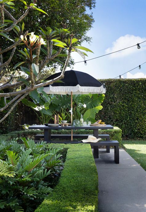 Alocasia Plant, Landscape Rock, Hervey Bay, Outdoor Table Settings, Festoon Lighting, Tropical Landscaping, Australian Homes, Tropical Garden, Outdoor Rooms