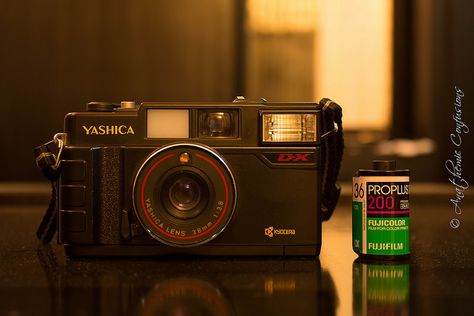 Yashica Camera, The Thieves, Vintage Film Camera, Design Video, Vintage Film, Film Camera, Camera Photography, Camera Roll, Film Photography