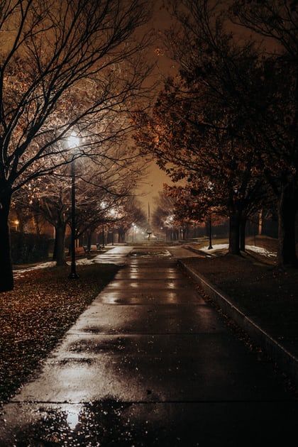 Rainy Day Photography, Night Time Photography, Nature Peace, Night Walks, Fall Garden Vegetables, Autumn Night, Video Background, Autumn Photography, Autumn Trees