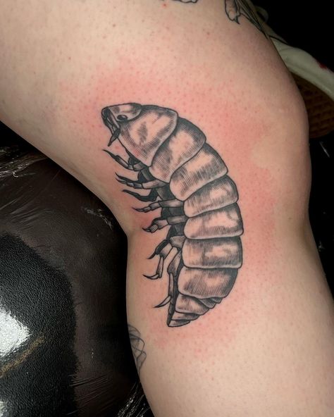 💥 KNEE SHOT💥 thank you for the trust @isa.m.madera! I love this placement! Who else played with Rollie Pollies as a kid? . . Artist: @sicknesstattoos Done at @rotorandkoiltattooparlor . TATTOO INQUIRY! 🐜 NAME/PRONOUNS 🐛 DESIGN REFERENCES/DESCRIPTION 🪲 APPROX. SIZE 🐞 BUDGET (optional) 🕷️ DAYS AVAILABLE . . . DM to book an appointment! Or text (213)465-0112 . Located in DTLA @rotorandkoiltattooparlor . . . . . . . . #losangelestattoos #DTLA #ArtsDistrict #sicknesstattoos #tattooideas ... Scorpion Knee Tattoo, Knee Bug Tattoo, Roly Poly Tattoo, Rolly Polly Tattoo, Rollie Pollie Tattoo, Creepy Crawly Tattoo, Moving On Tattoos, Los Angeles Tattoo, Bug Tattoo