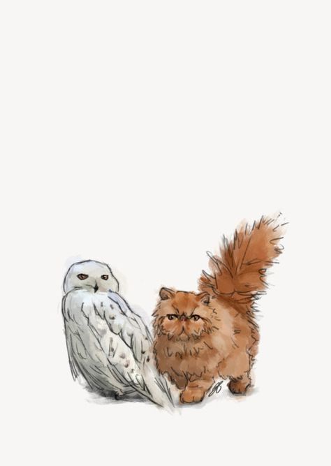 Hermione's Cat, Harry Potter Art Drawings, Harry And Hermione, Harry Potter Illustrations, Theme Harry Potter, Harry Potter Drawings, Harry Potter Room, Harry Potter Pictures, Harry Potter Marauders