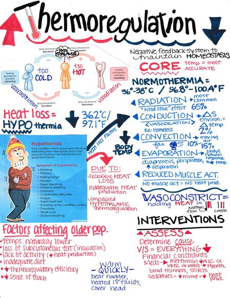 Perfusion Nursing Notes, Thermoregulation Nursing Notes, Perioperative Nursing Notes, Thermoregulation Nursing, Forensics Notes, Fundamentals Of Nursing Notes, Nursing Classroom, Geriatric Nursing, Med Notes