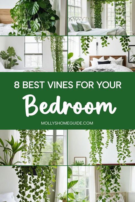 Transform your bedroom into a cozy oasis with the best vines for bedroom! Discover wall decor ideas that incorporate aesthetic room elements like curtain lights and LED lights to create a warm and inviting atmosphere. Elevate your space with these bedroom vines that will add a touch of nature indoors. Embrace the trend of fake plants paired with real foliage to bring life to your room. Explore how simple touches can make a big impact in creating a relaxing haven perfect for winding down after a English Ivy Bedroom, Plant Walls Bedroom, Foliage Wall Bedroom, Bedroom Decor Ideas With Plants, Plant Inspo Bedroom, Real Vines In Bedroom, Aesthetic Bedroom Vines, Vine Lights Bedroom, Diy Vines Decoration