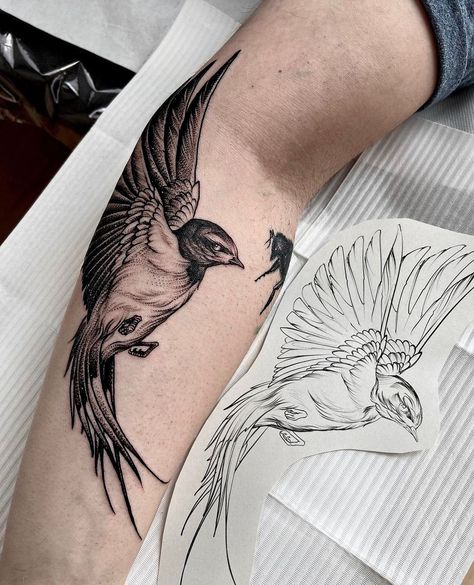 Swallow Tattoo Realistic, Bird Tattoo Realism, Realistic Sparrow Tattoo, Bird Leg Tattoo, Tattoo Ideas Realism, Tattoo Sparrow, Realistic Bird Tattoo, Inside Tattoo, Kingfisher Tattoo