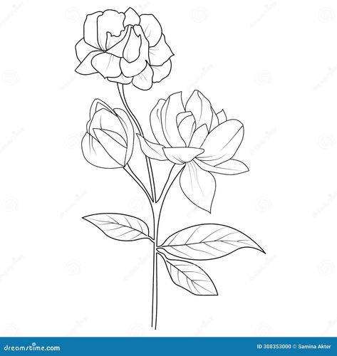 Easy jasmine flower, sketch jasmine flower drawing, tattoo jasmine flower drawing, outline jasmine flower tattoo, simple jasmine flower tattoo, minimalist jasmine flower tattoo, white jasmine flower drawing, realistic jasmine flower drawing, art jasmine flower drawing, line art simple jasmine flower drawing Jasmine Flower Drawing Tattoo, Jasmine Flower Sketch, Flower Drawing Realistic, Flower Drawing Outline, Flower Drawing Line Art, Jasmine Flower Drawing, Flower Tattoo Minimalist, Pencil Typography, Flower Drawing Tattoo