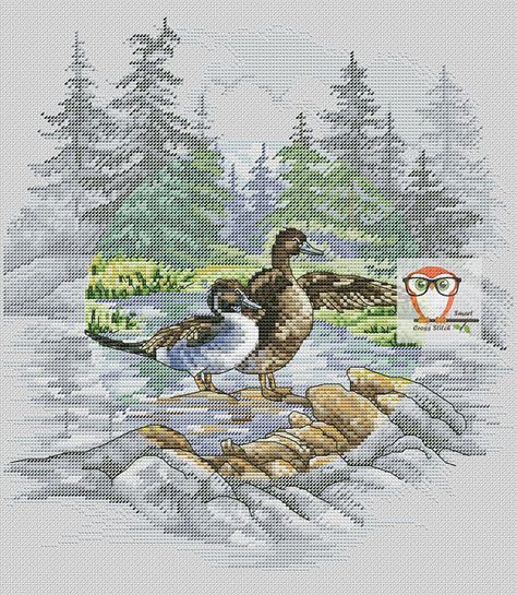 Duck cross stitch birds, vintage cross stitch pattern, duck embroidery pattern modern cross stitch duck pattern, cross stitch scenery birds  #duck #crossstitch #duck #modernfarmhouse  #crossstitching #embroidery #vintagestyle  #crossstitchpattern #homedecor #hunting Wild Ducks, Retro Embroidery, Vintage Cross Stitch Pattern, Lazy Daisy Stitch, Vintage Cross Stitch, Cross Stitch Bird, Embroidery Patterns Vintage, Cute Cross Stitch, Vintage Cross Stitches