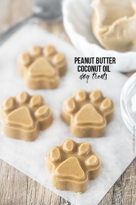 Treat your dogs to these yummTreat your dogs to these yummy homemade Peanut Butter Coconut Oil Dog Treats! They'll be begging for more. livelaughrowe.com Homemade Dog Cookies, Dog Treats Homemade Easy, Frozen Dog Treats, Coconut Oil For Dogs, Dog Biscuit Recipes, Easy Dog Treats, Healthy Dog Treats Homemade, Coconut Peanut Butter, Peanut Butter Dog Treats