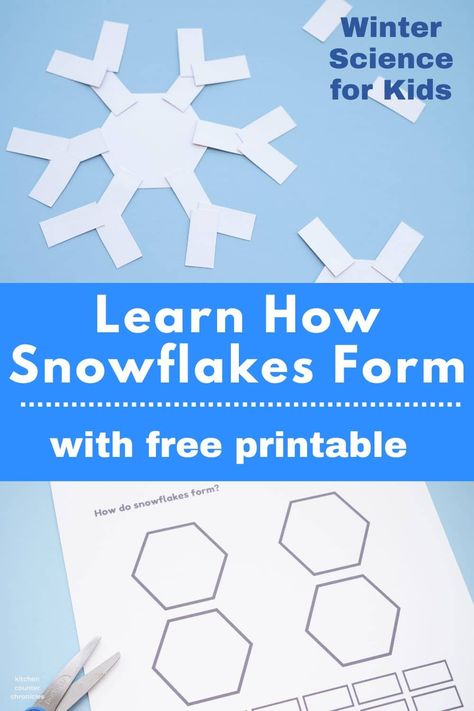 Learn how snowflakes form. The science behind the formation of snowflakes - with a free printable and hands on winter science activity for kids. #winterstem #stemactivity #snowscience #snowflakescience Stella Queen Of The Snow Activities, Snow Learning Activities For Kids, Snow Flakes Pictures, Snowflakes For Preschoolers, Snowflake Science Experiment, Snowflake Stem Activities For Kids, Snowflake Stem Activities, Life Cycle Of A Snowflake Free Printable, Steam Christmas Activities