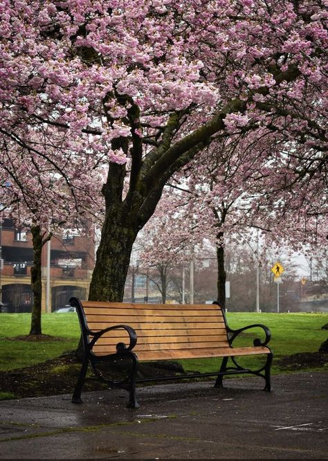 Park Bench Aesthetic, Bench Reference, Perspective Sitting, Bench Aesthetic, Park Bench Design, Japanese Park, Perspective Architecture, Kyoto Garden, Ap Drawing