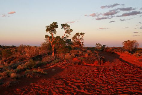 Australia Desert, Judas Iscariot, Skyline Tattoo, Red Landscape, Australian Desert, Scenery Aesthetic, Nice Aesthetic, Rare Aesthetic, Desert Beauty