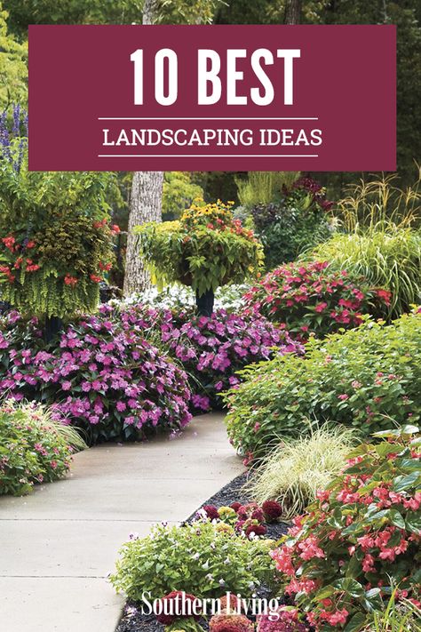 Southern Landscaping, Large Yard Landscaping, Amazing Landscaping Ideas, Front Lawn Landscaping, Southern Garden, Front Yard Design, Fall Garden Vegetables, Professional Landscaping, Easy Landscaping