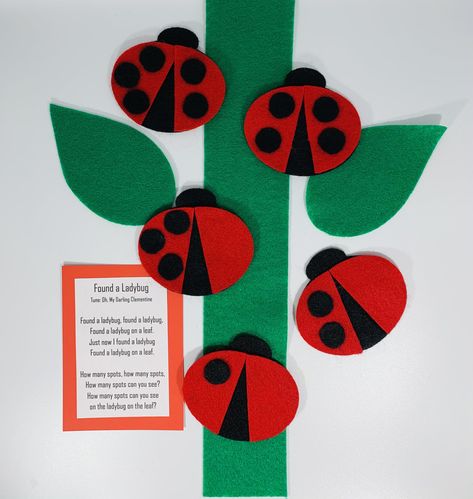 Lady Bug Felt Story fun Preschool Insects, Ladybug Felt, Library Storytime, Oviparous Animals, Flannel Stories, Toddler Storytime, Preschool Numbers, Origami Book, Davidson Nc