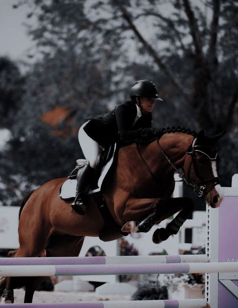 English Equestrian Aesthetic, Horse Dressage Aesthetic, English Riding Aesthetic, Show Jumping Aesthetic, Rich Equestrian Aesthetic, Dressage Horses Photography, Horse Jumping Aesthetic, Canterwood Crest, Equestrian Aesthetic Dressage