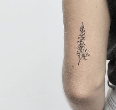 Simple Lupine Tattoo, Lupine Line Art, Purple Lupine Tattoo, Oregon Flower Tattoo, Hyssop Tattoo Simple, Bluebonnet Ankle Tattoo, Fine Line Lupine Tattoo, Fine Line Bluebonnet Tattoo, Simple Bluebonnet Tattoo