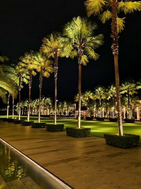 Landscape Lighting Design, Outdoor Landscape Lighting, Garden Landscape Design, Tropical Landscaping, Design Your Dream House, Dream House Exterior, Modern Landscaping, Tree Lighting, Hotel Design