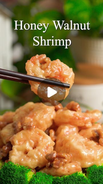 Mei & Kyong | Two Plaid Aprons on Instagram: "Let’s make Honey Walnut Shrimp just like your Chinese Takeout! It’s pretty expensive to buy to here’s how to make it at home! Full Recipe is on our Blog, LlNK is in our Bl0! Just type “Honey” in the search!❤️ #shrimp #honeywalnutshrimp #chinesetakeout #easyrecipes #reel #recipes" Plaid Apron, Food Change, Walnut Shrimp, Chinese Take Out, Honey Walnut, Honey Walnut Shrimp, Chinese Takeout, Kiki's Delivery Service, Chinese Cooking