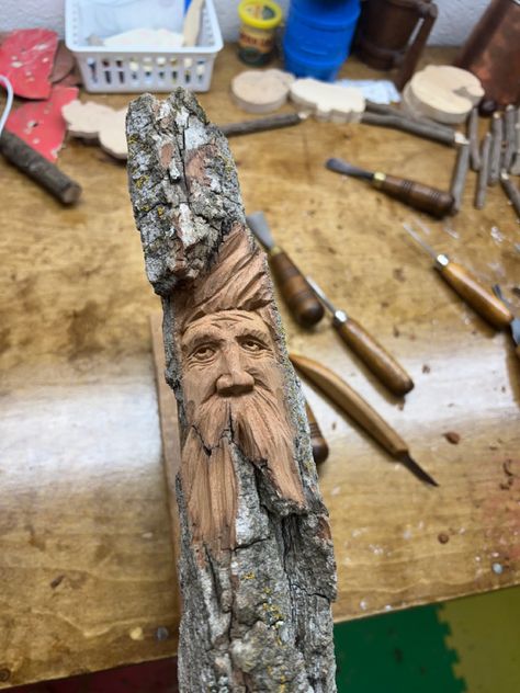 Bark Carving Cottonwood, Cottonwood Bark Carving, Bark Carving, Wooden Ideas, Wood Spirit, Walking Sticks And Canes, Woodland Scene, Miniature Fairy, Tree Bark