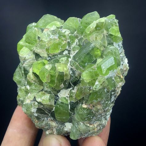 Natural Peridot Specimen , Green Peridot, Peridot Gemstone, Raw Peridot Cluster , Healing Crystal, Peridot From Supat Pakistan - 126 Gram Crystals Green, Raw Peridot, Crystal Photography, Peridot Crystal, Plant Stem, Peridot Gemstone, Green Peridot, Green Tones, Green Gemstones